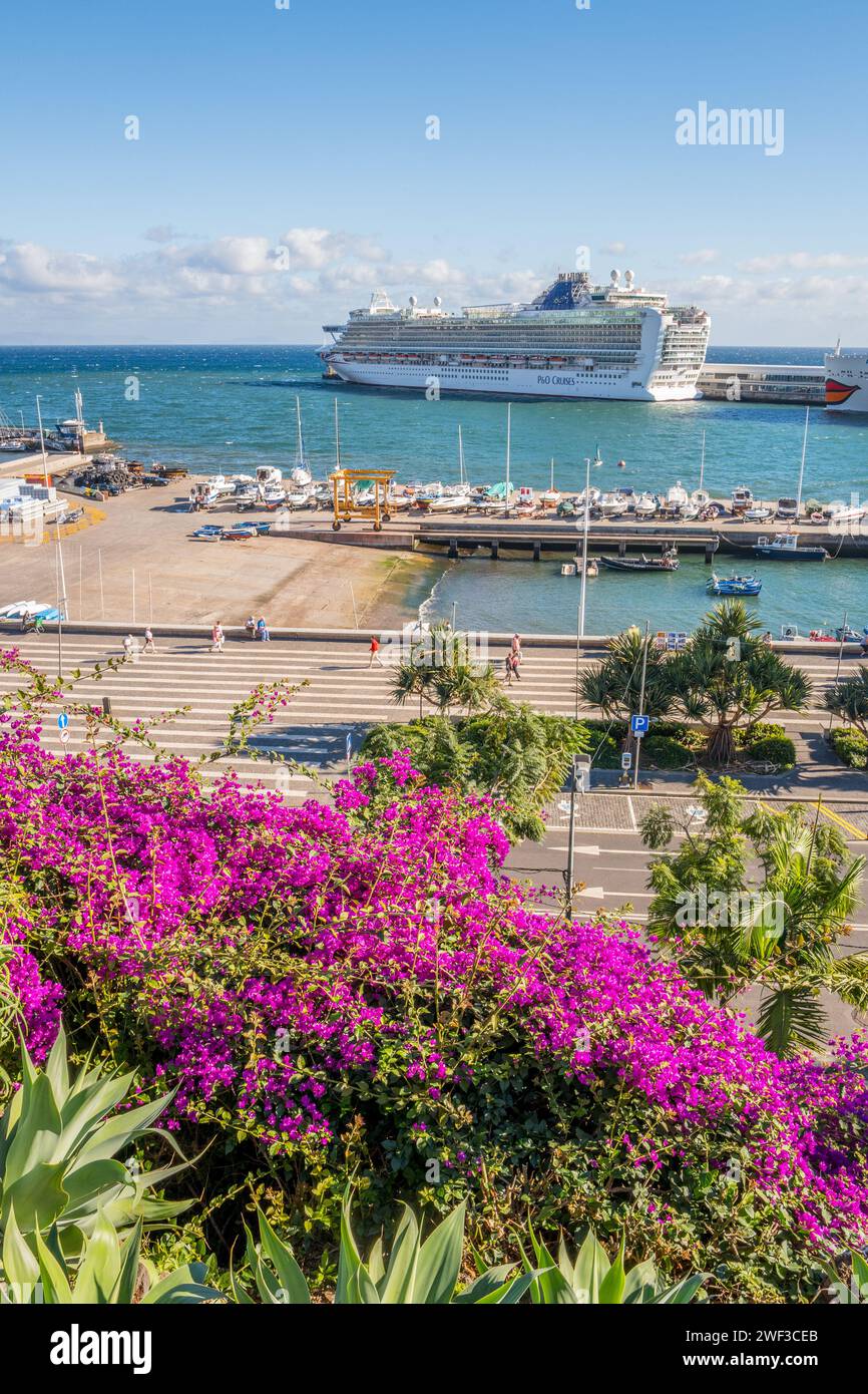 The main cruise terminal and docks cruise ship and other shipping from the Santa Catarina Park on the island of Funchal, Madeira, Portugal. Stock Photo