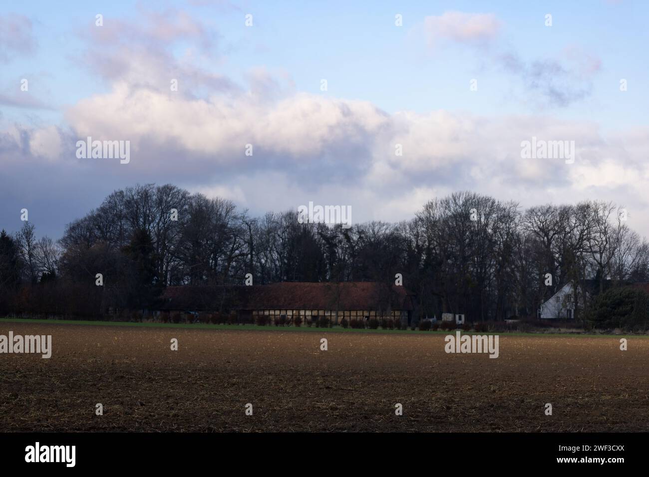Barn in the Trees Stock Photo