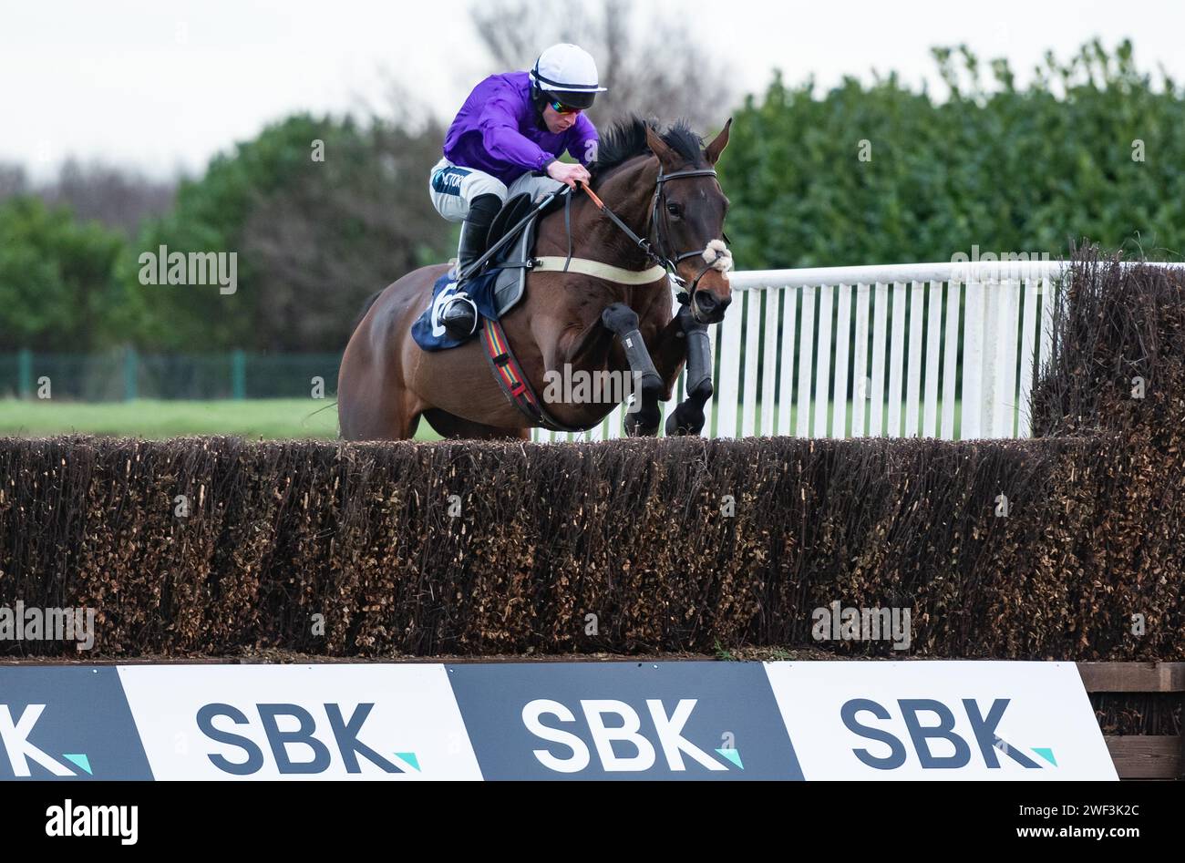 Doncaster Racecourse, UK. 28th Jan 2024. Some Scope and Gavin Sheehan won the SBK Handicap Chase for trainer Richard Hobson and owners Rubicon Racing. Credit JTW Equine Images / Alamy Live News Stock Photo