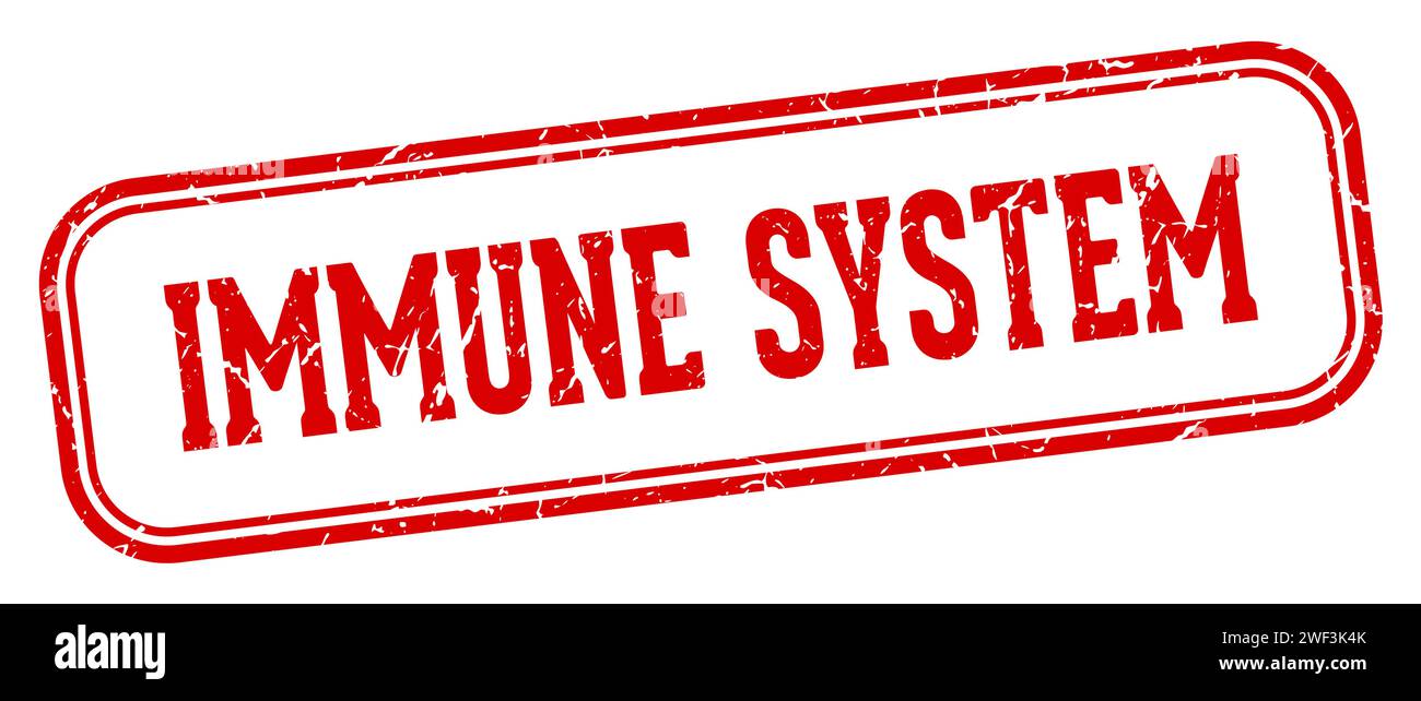 immune system stamp. immune system rectangular stamp isolated on white background Stock Vector ...