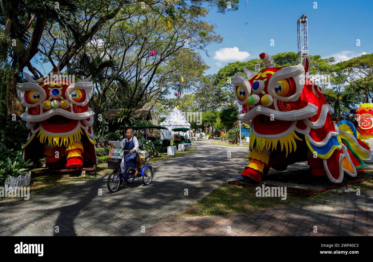 Rides dragon hi-res stock photography and images - Alamy