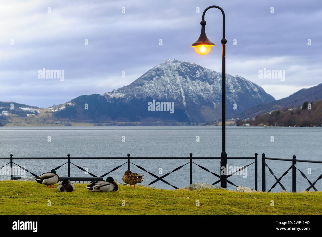 Lit street lamp stands hi-res stock photography and images - Alamy