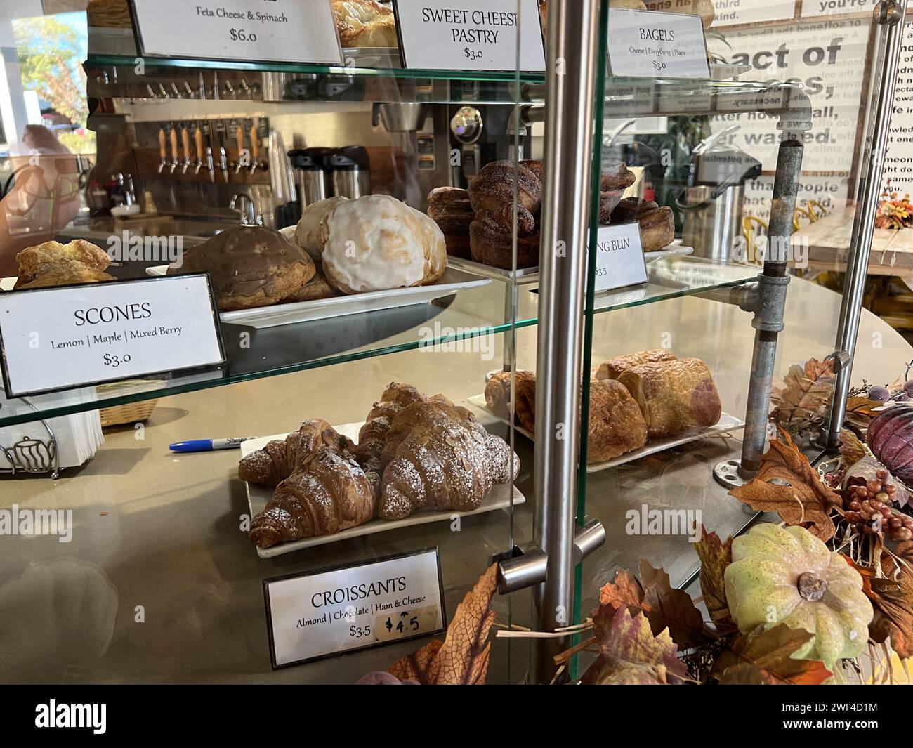 Walnut Creek, USA. 13th Nov, 2023. Glass display case showcasing an