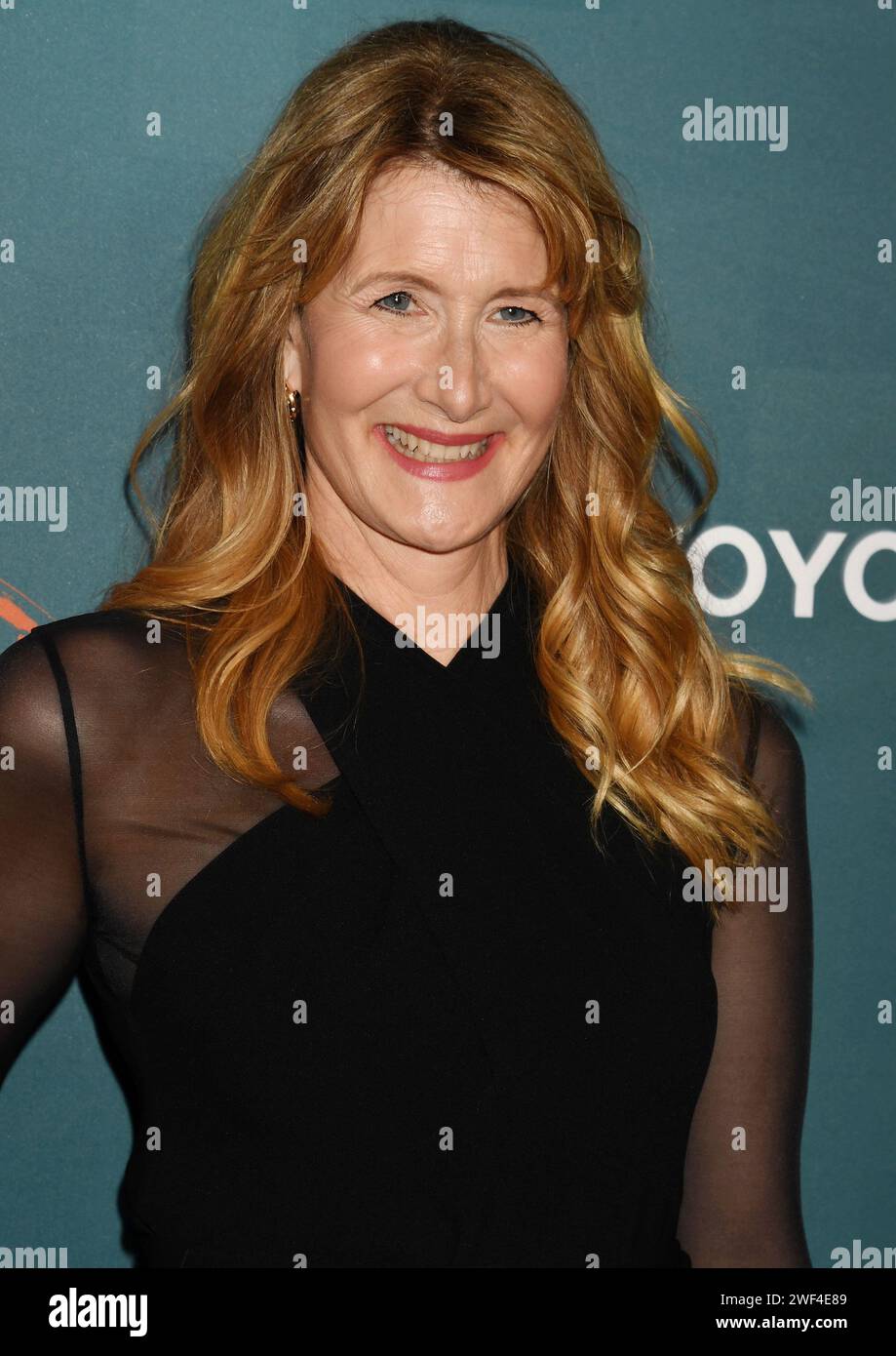 Los Angeles, California, USA. 27th Jan, 2024. Laura Dern attends The