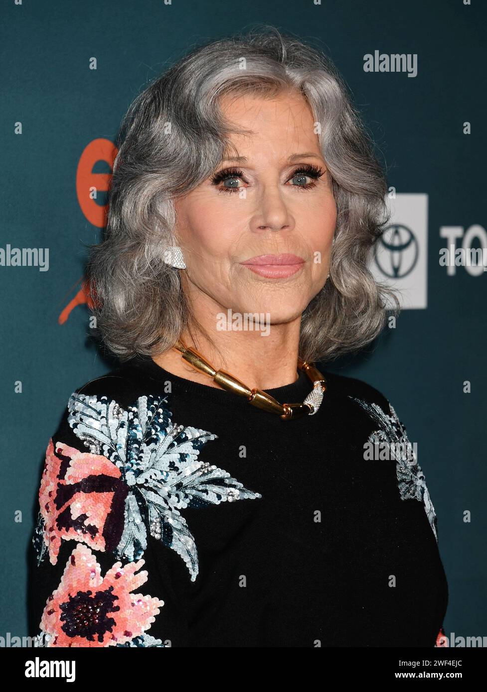 LOS ANGELES, CALIFORNIA JANUARY 27 Jane Fonda attends The 33rd