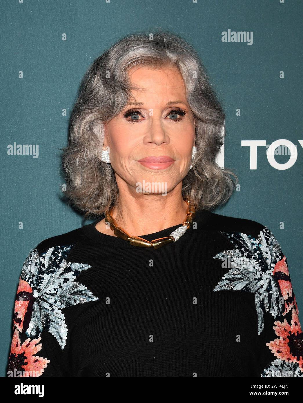 LOS ANGELES, CALIFORNIA JANUARY 27 Jane Fonda attends The 33rd