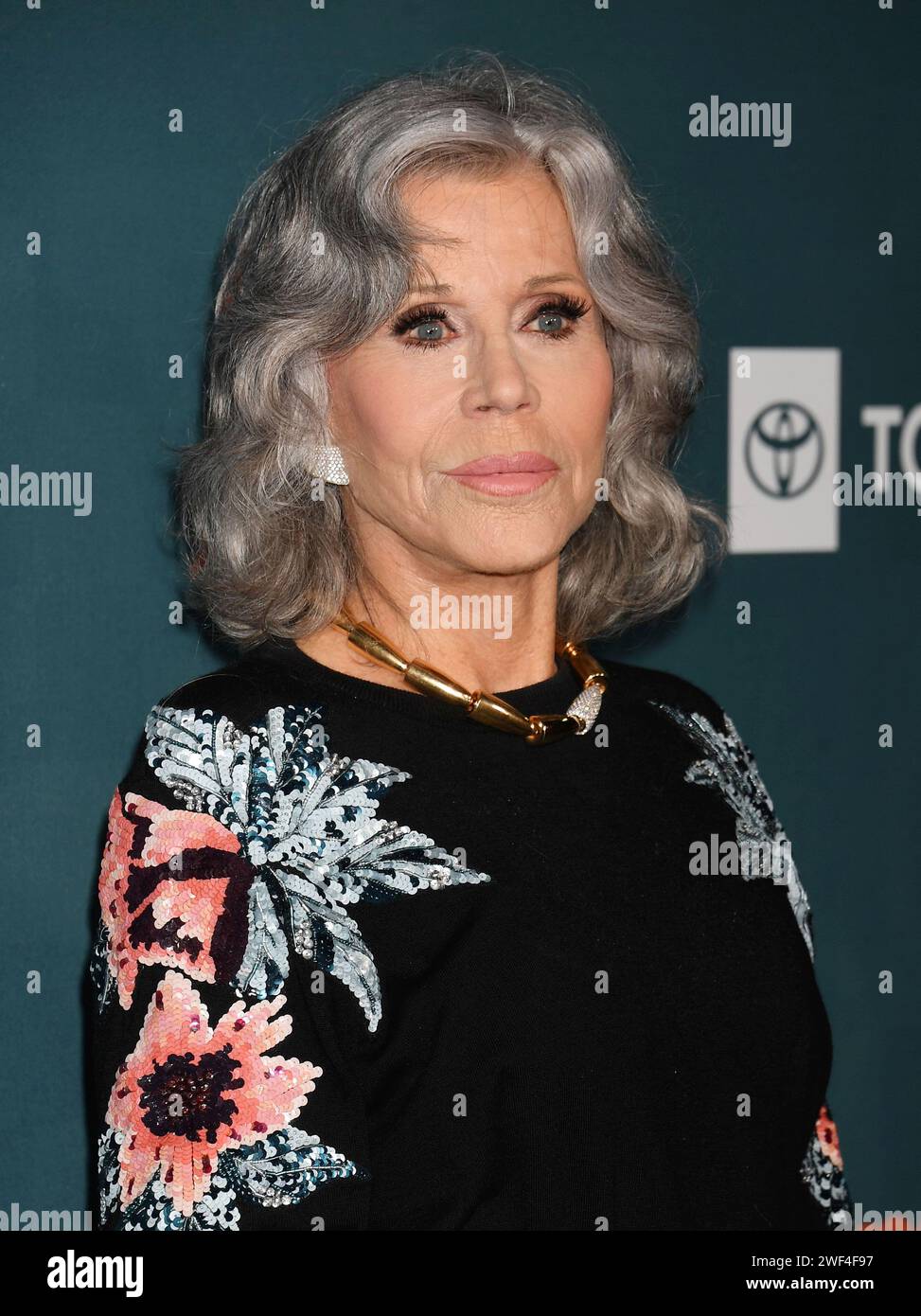 Los Angeles, California, USA. 27th Jan, 2024. Jane Fonda attends The
