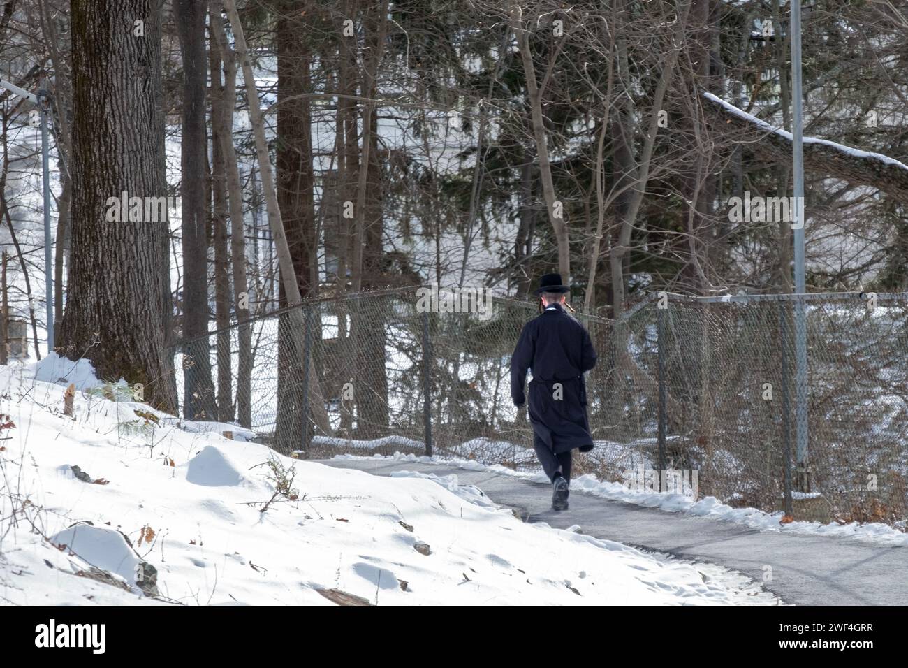 An unidentified orthodox Jewish man dressed in black walks on a path in the woods in New York during the winter of 2024. Stock Photo