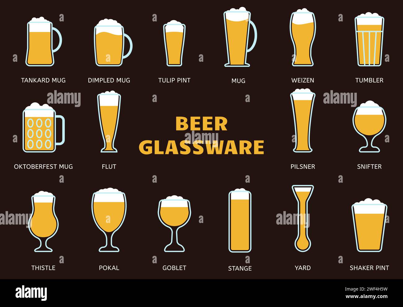 Beer glasses types collection. Different glass for cafe or bar, beer