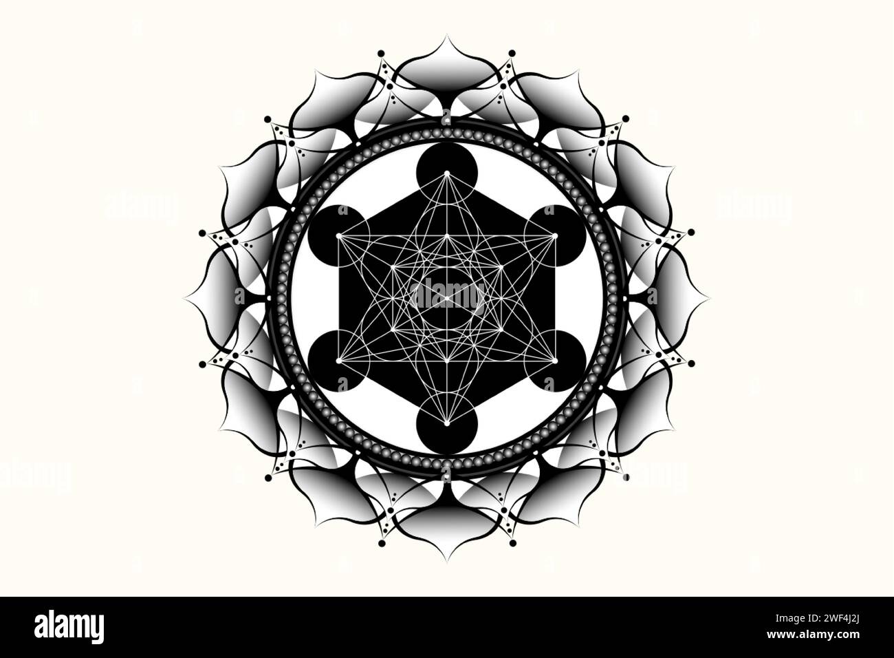Sacred mandala of Metatrons Cube, Mystical Flower of Life. Sacred geometry, graphic element Vector isolated Illustration. Mystic lotus icon Stock Vector