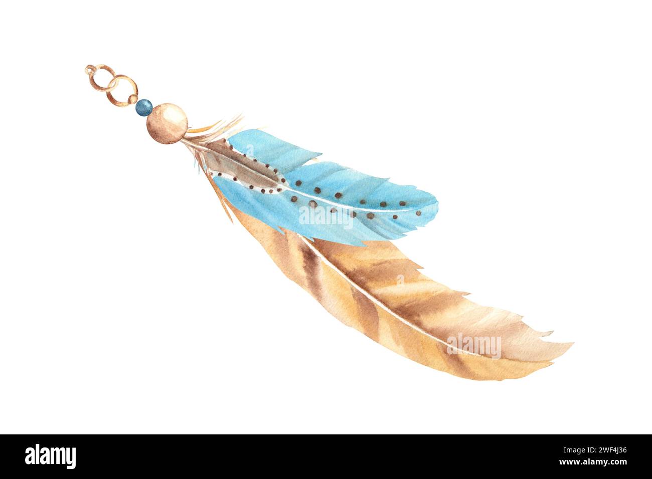 Watercolor composition from pale brown, beige and blue feathers and ...