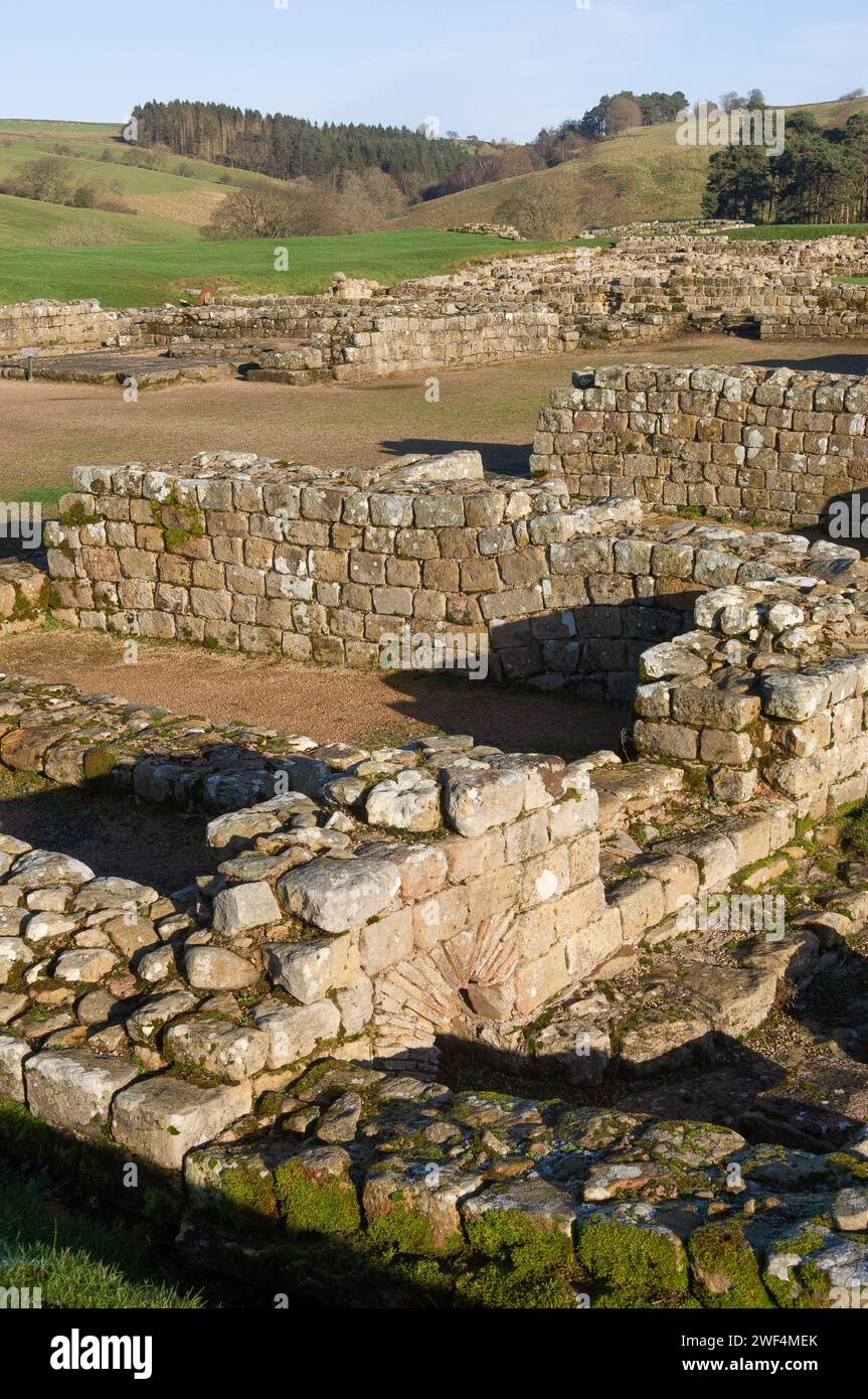 Vindolanda excavation hi-res stock photography and images - Alamy