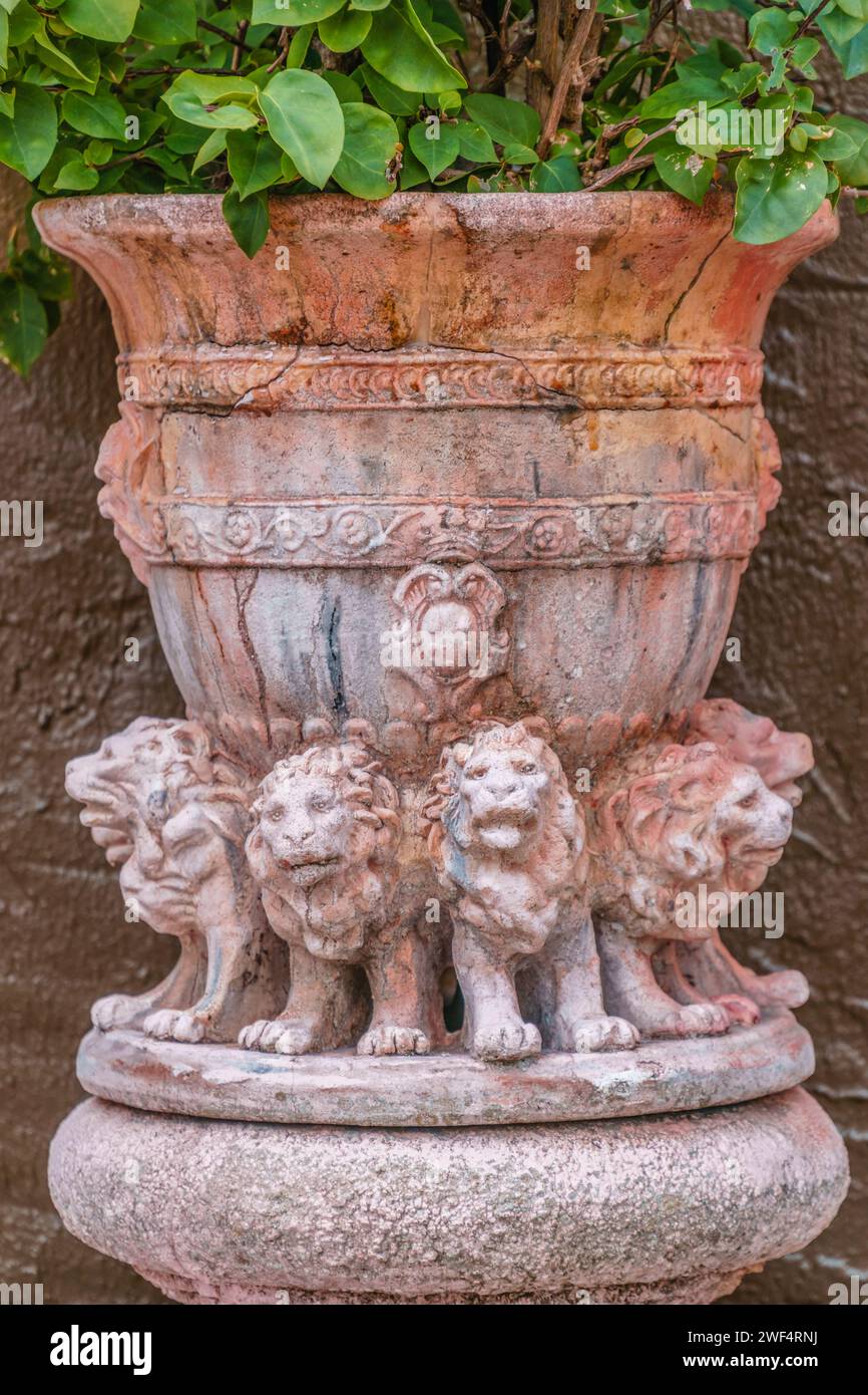 Peach colored vintage stone planter in the color of peach fuzz. Stock Photo