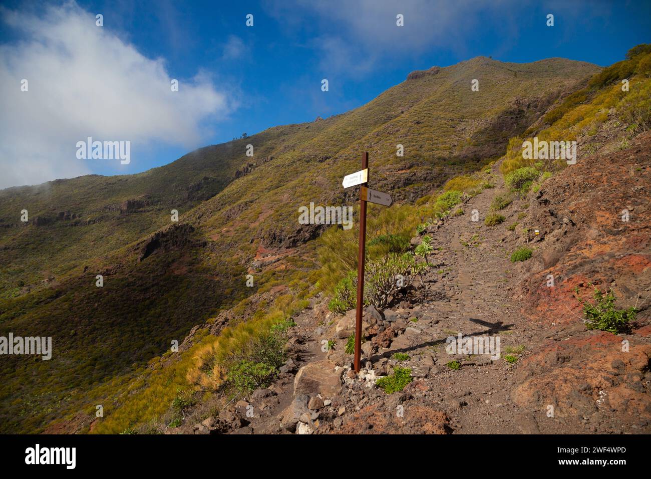 A footpath TF 65 heading into the hills above the village of El Molledo, Tenerife, Spain Stock Photo