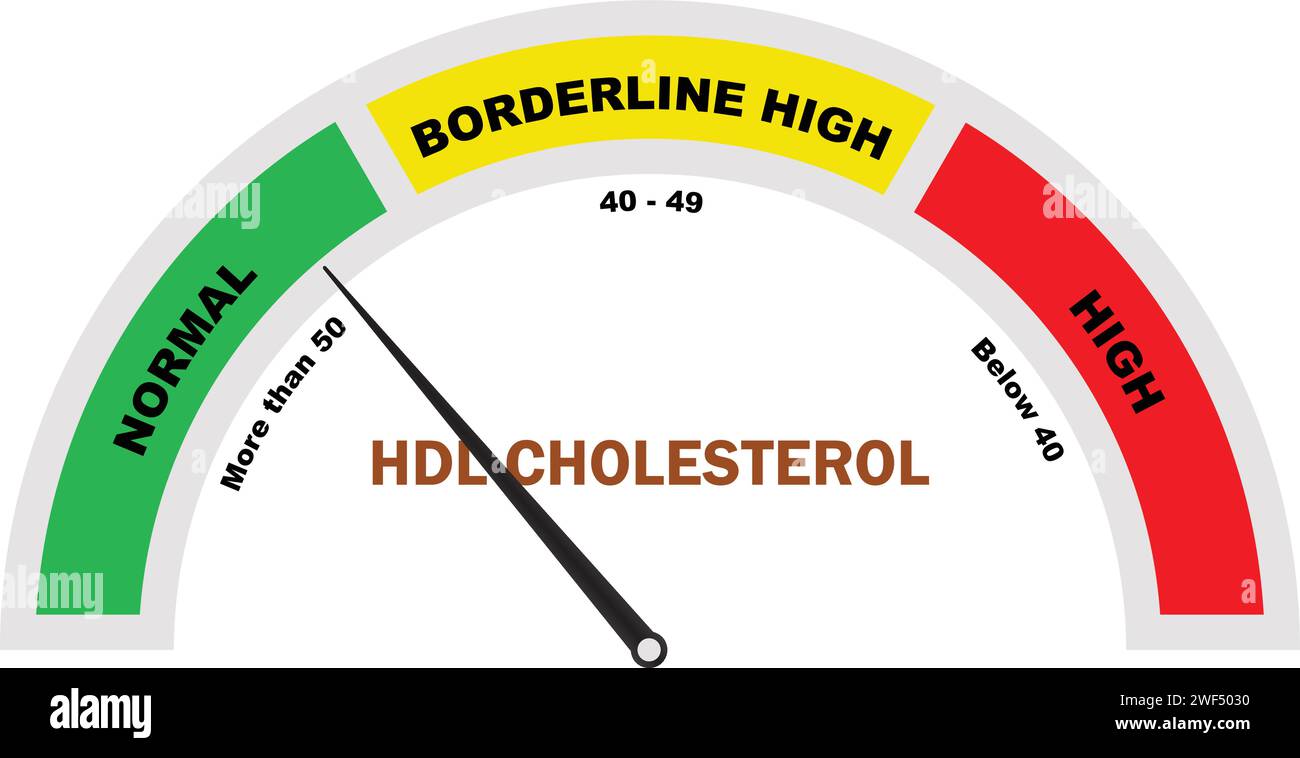 HDL Cholesterol Level, Cholesterol Test, HDL Cholesterol Test, Cholesterol meter icon, Medical Diagnostic Tool Stock Vector