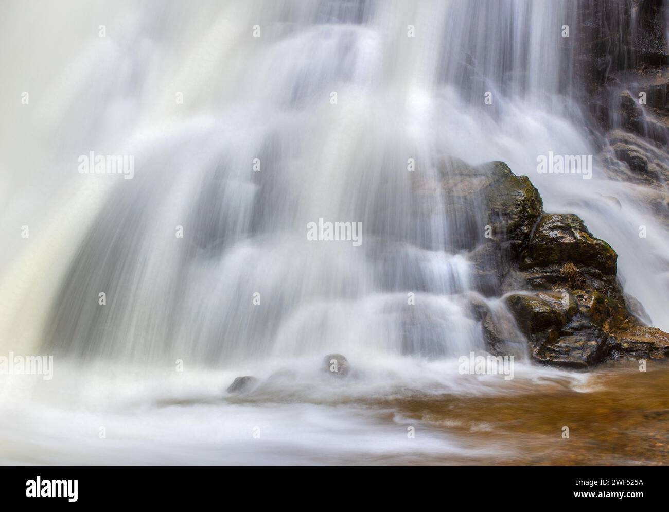 Rinse Cycle Stock Photo