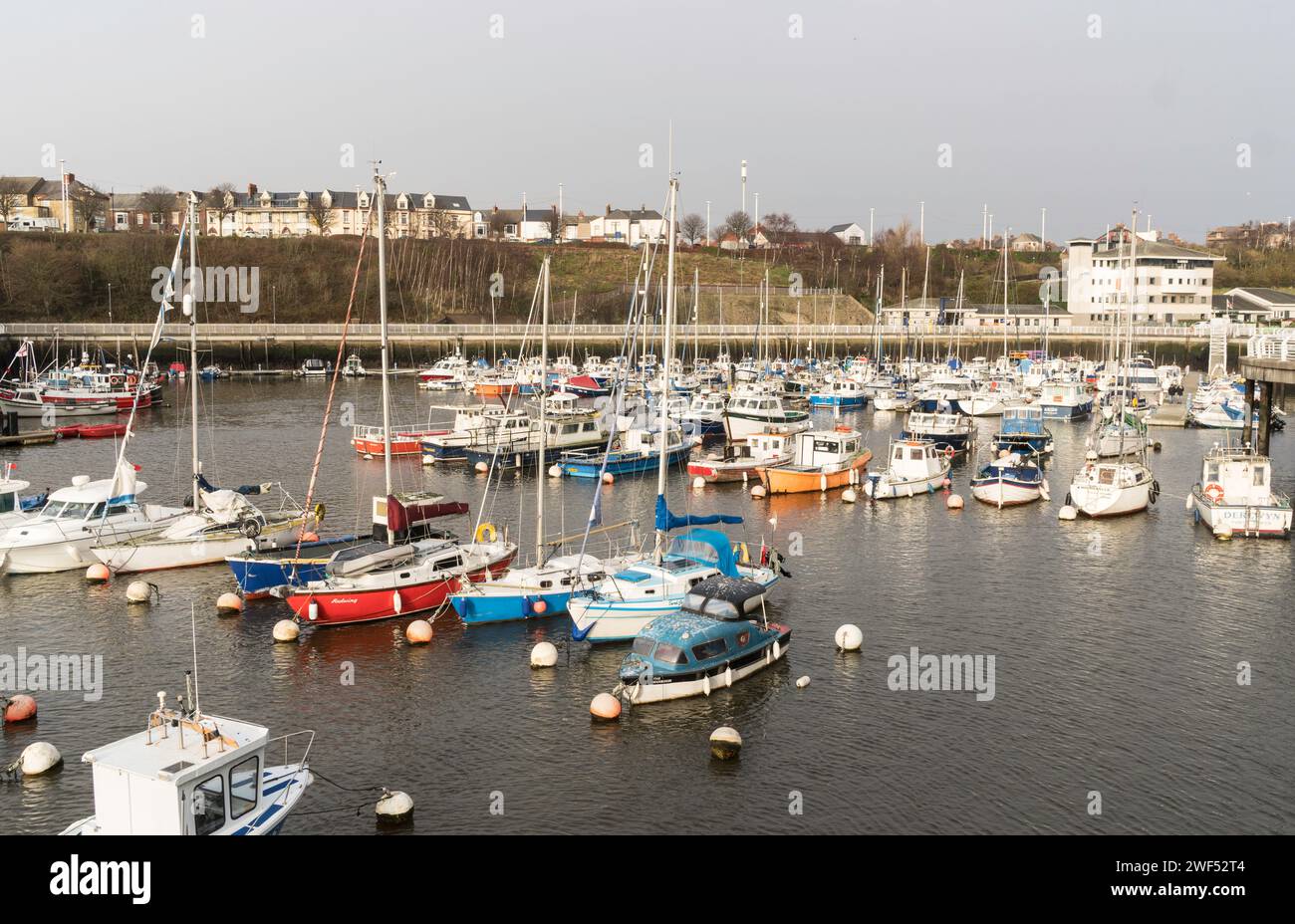 January 2024 Winter sunshine illuminates boats moored in Roker marina, Sunderland, England, UK Stock Photo