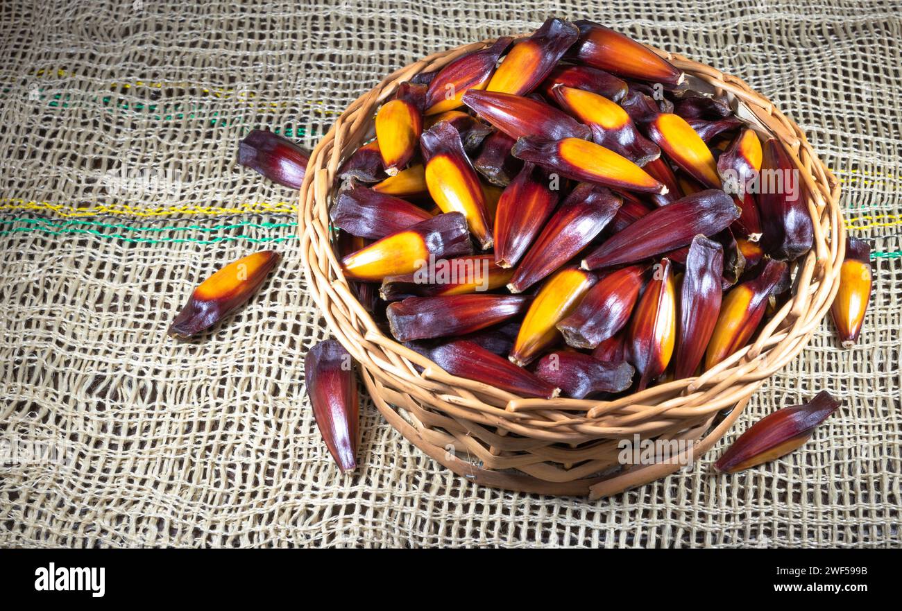 Corn cobs in a rustic basket on burlap Stock Photo