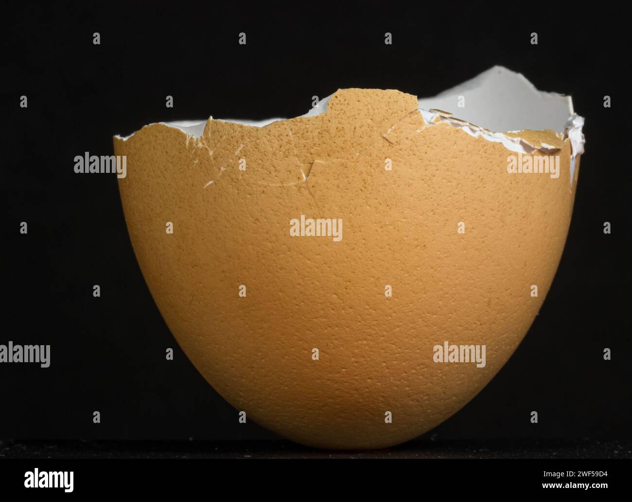 Cracked egg shell on dark surface with black background Stock Photo