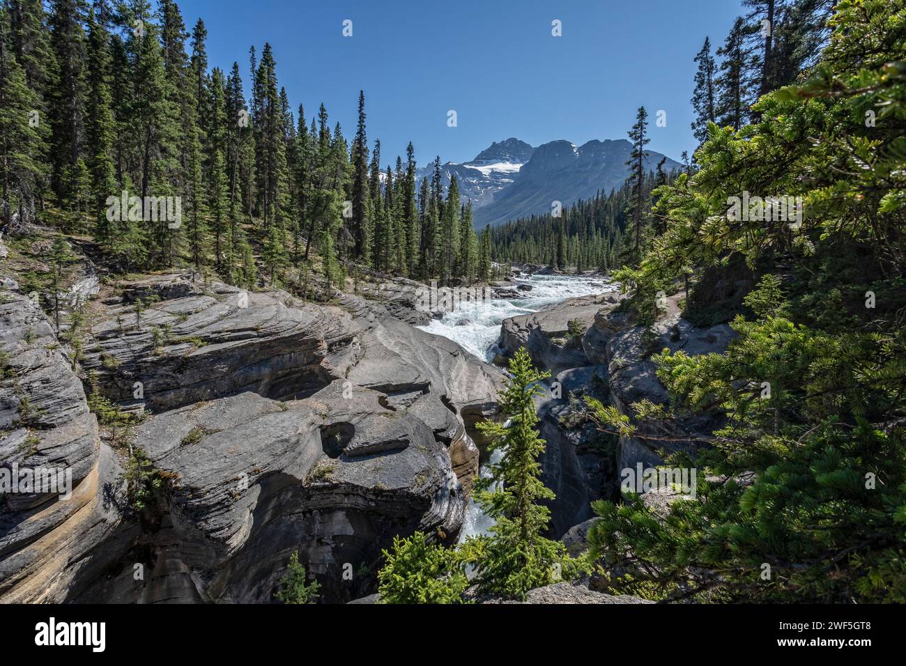 Glacial raging waterfalls in Mistaya Canyon with snow capped mountains ...