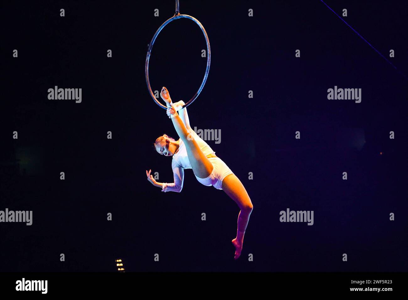  Feuerwerk der Turnkunst - Show Heartbeat 2024 Artic Ensemble Bildidee 