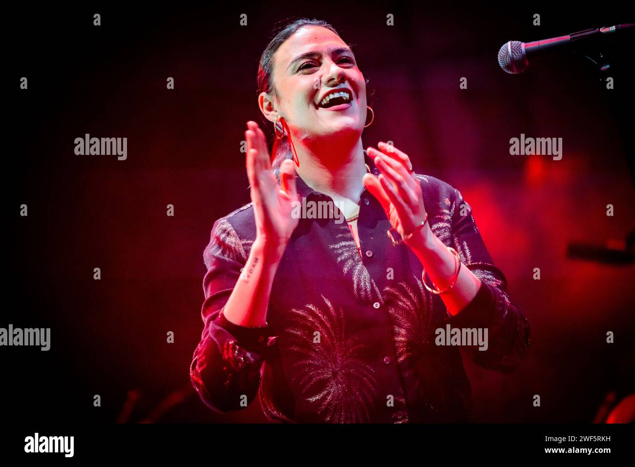 Edinburgh, Scotland. Sun 28 January 2025. Songwriter / musician