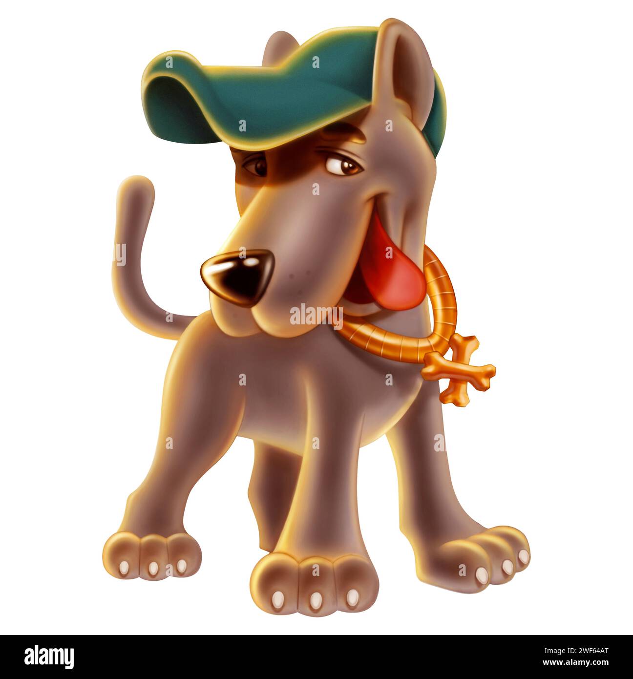 DOG WITH HAT ON ISOLATED COLORFUL BACKGROUND - HIP-HOP Stock Photo