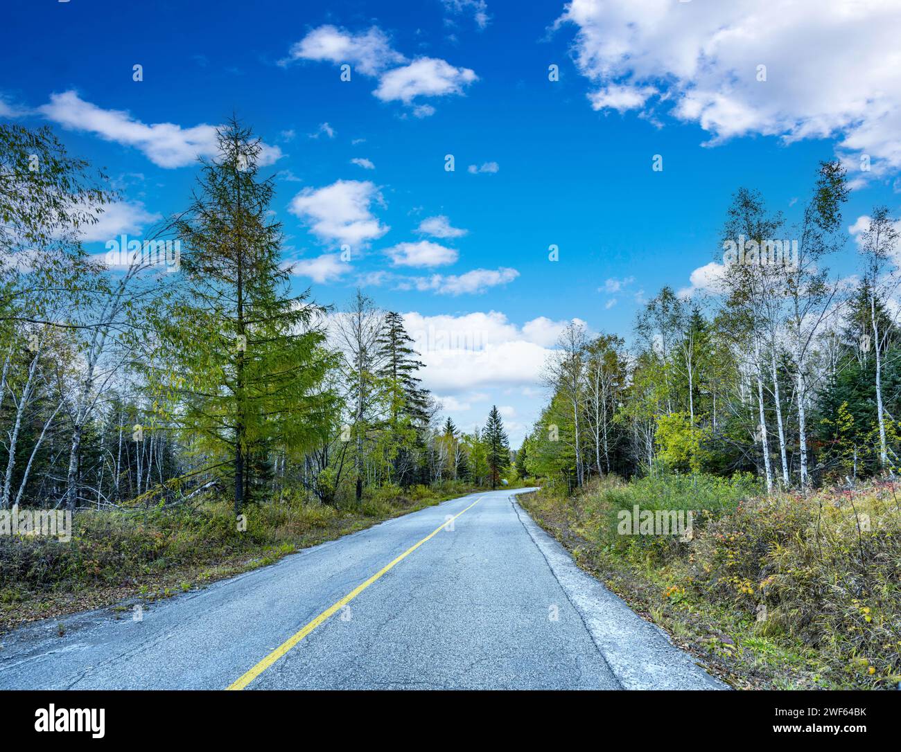 The up and down mountain tourist road in the mixed deciduous and broad-leaved forest area of Changbai Mountain West Scenic Area, Fusong County, Yanbian Korean Autonomous Prefecture, Lin Province Stock Photo