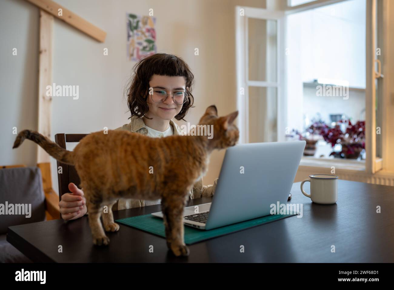 Teenager sitting at table, caressing adorable cat who diverts girl attention from freelance work Stock Photo