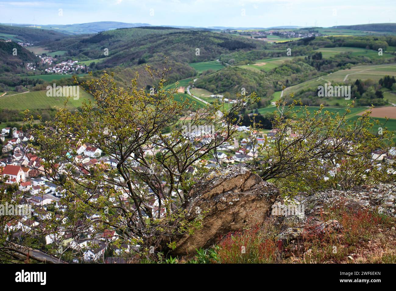 Tree growing on top of Rotenfels overlooking green fields and hills and a German town on a spring day in Rhineland Palatinate, Germany. Stock Photo