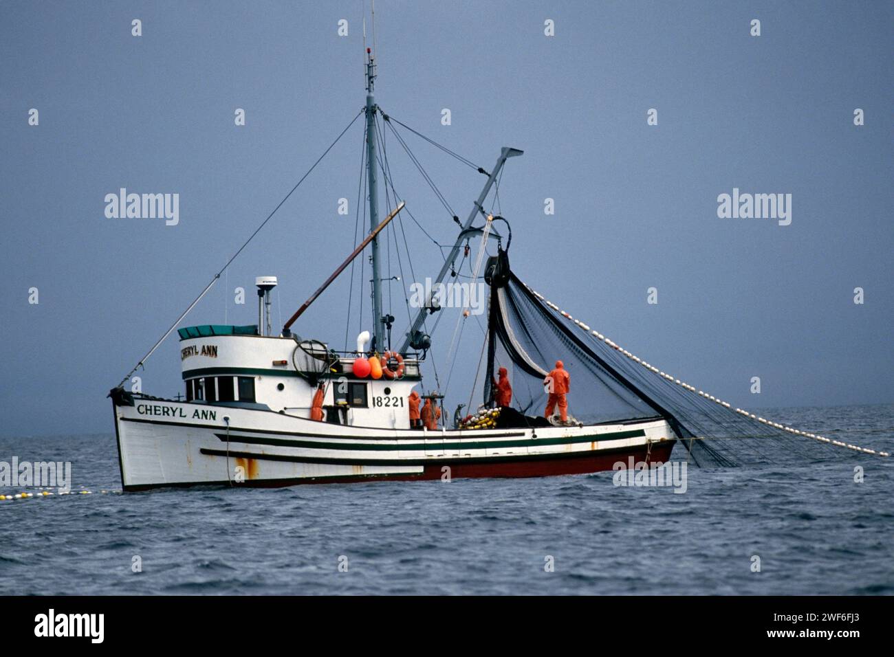 commercial fishing vessel Cheryl Ann purse sein fishing for salmon off Hidden Falls, Chatham Strait, southeast Alaska Stock Photo