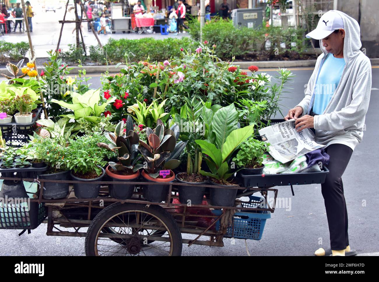 Vendor selling potted plants from a hand trolley on Silom Road, Bangkok