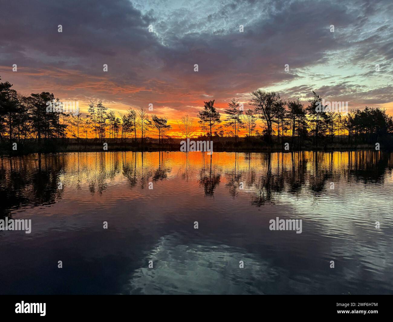 Thursley Common, Elstead. 28th January 2024. A beautiful start to the day for the Home Counties. Sunrise over Elstead Moat at Thursley Common near Godalming in Surrey. Credit: james jagger/Alamy Live News Stock Photo