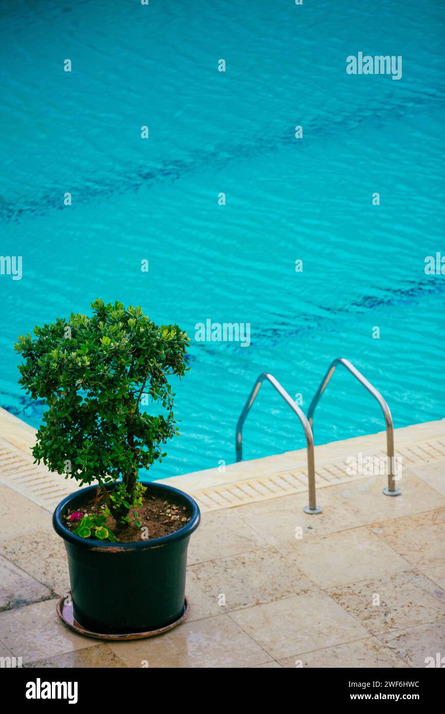 Swimming pool Stock Photo