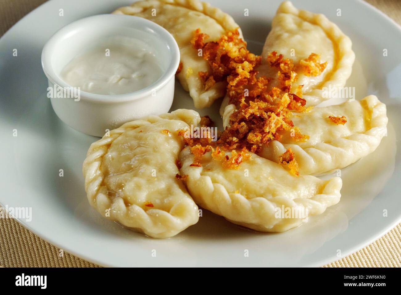 White plate showcases an array of delectable dumplings, perfectly paired with a luscious bowl of flavorful dip. Stock Photo