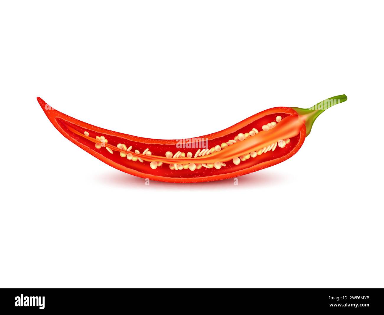 Realistic raw isolated half chili pepper. Isolated 3d vector longitudinal section of chilly or jalapeno pod with fiery seeds cluster amidst placental tissue delivering intense heat and spice to dishes Stock Vector