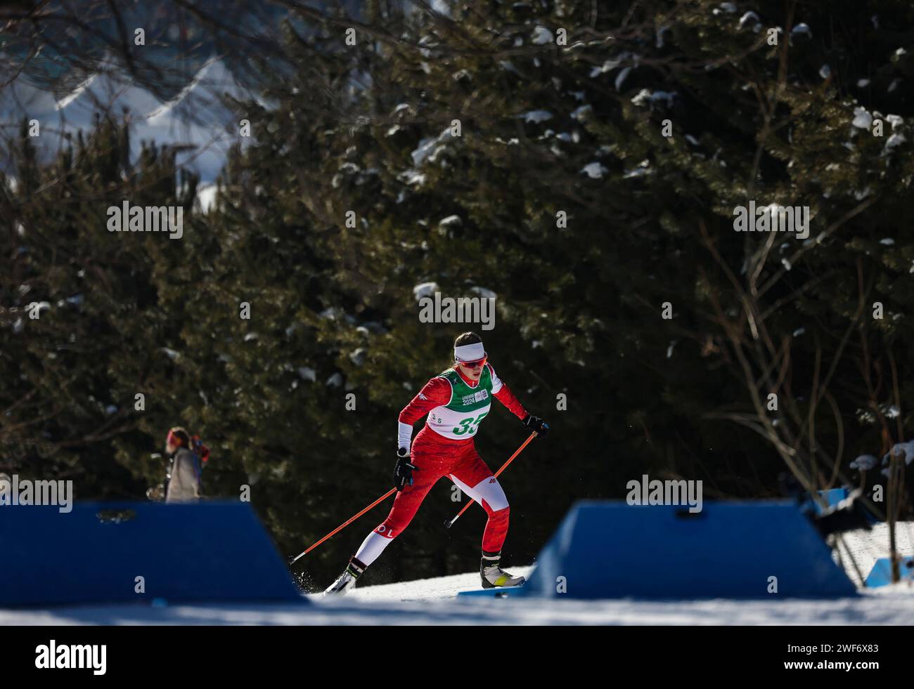 Pyeongchang, South Korea. 29th Jan, 2024. Laura Wantulok of Poland competes during the qualification of the Women's Sprint Free of Cross-Country Skiing event at the Gangwon 2024 Winter Youth Olympic Games in Pyeongchang, South Korea, Jan. 29, 2024. Credit: Hu Huhu/Xinhua/Alamy Live News Stock Photo