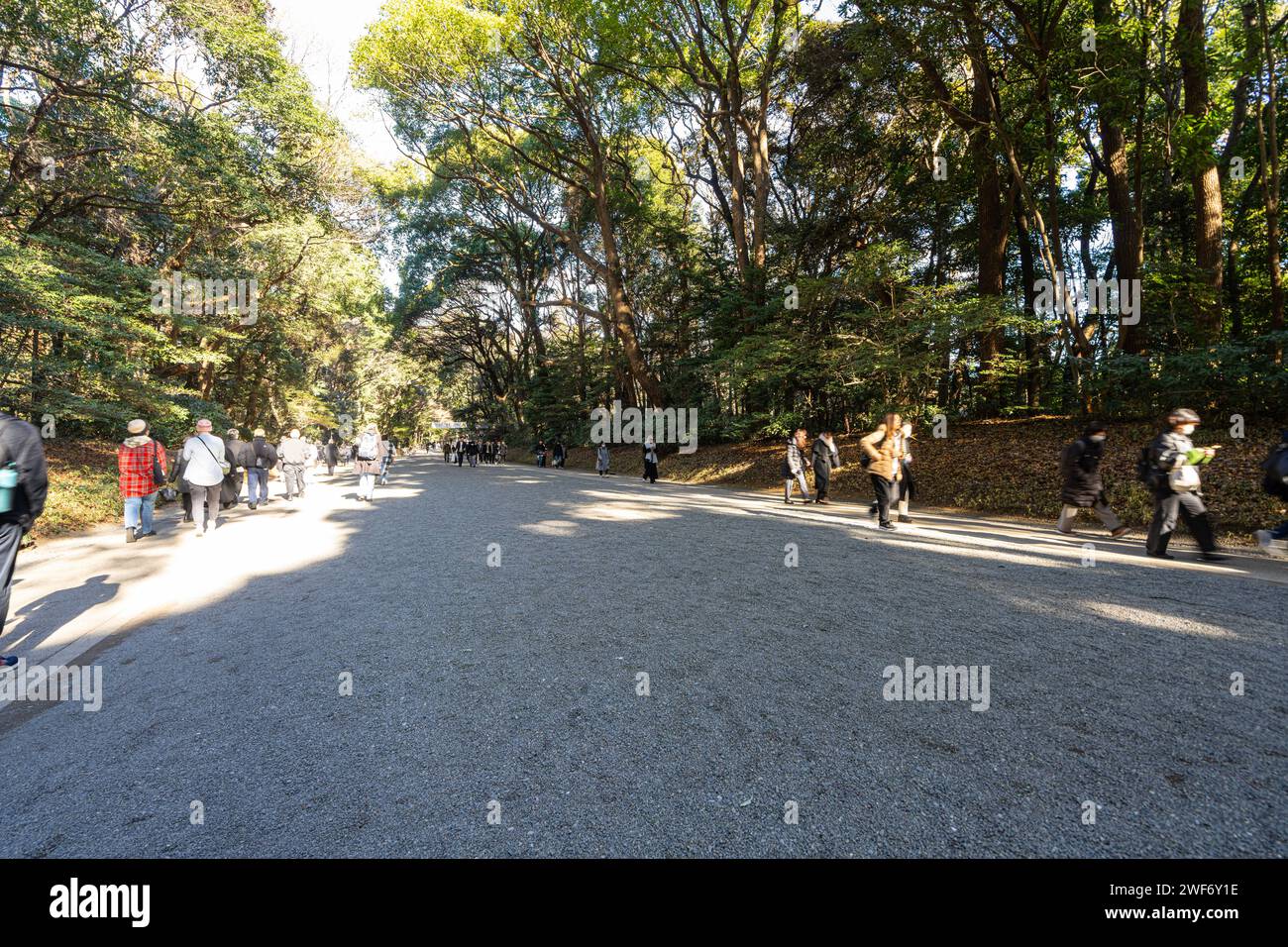 Tokyo Japan January 8 2024 The Internal Avenues Of The Park That   Tokyo Japan January 8 2024 The Internal Avenues Of The Park That Lead To Mriji Shinto Temple 2WF6Y1E 