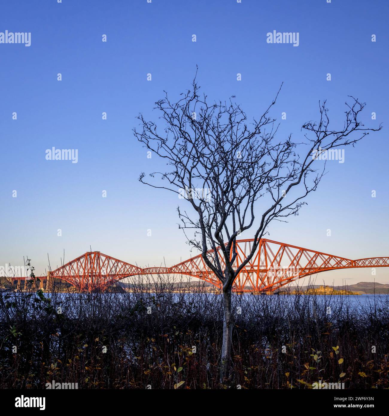 The Fourth Crossing is a railway bridge in Scotland Stock Photo