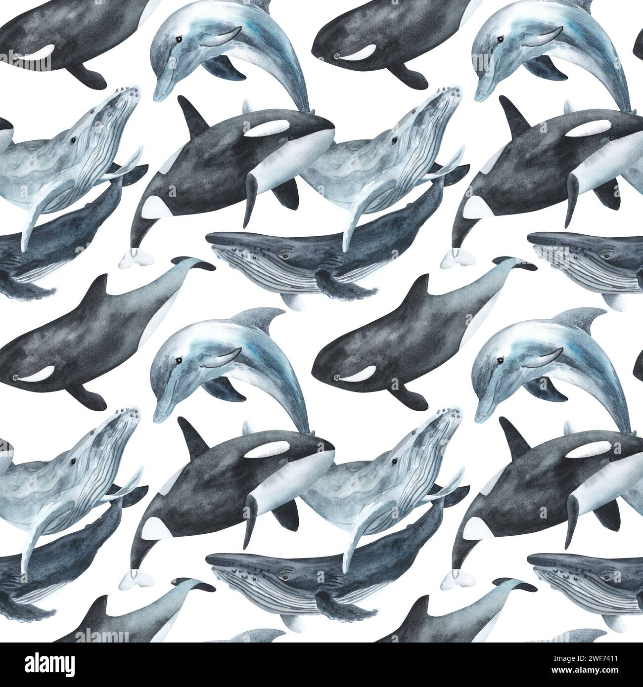 Whales seamless pattern. Repeating texture with marine mammals. Watercolor illustration. Dolphin, killer whale, humpback whale. Hand drawn isolated on Stock Photo