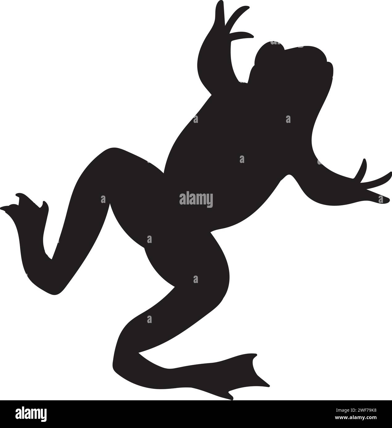Black silhouette jumping frog animal body, fairy tale Halloween