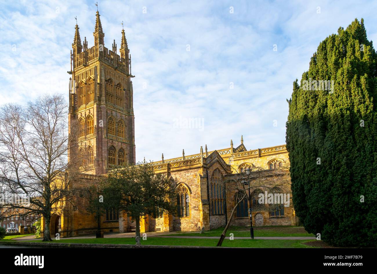 Golden afternoon winter sunshine, minster church of Saint Magdalene, Taunton, Somerset, England, UK Stock Photo
