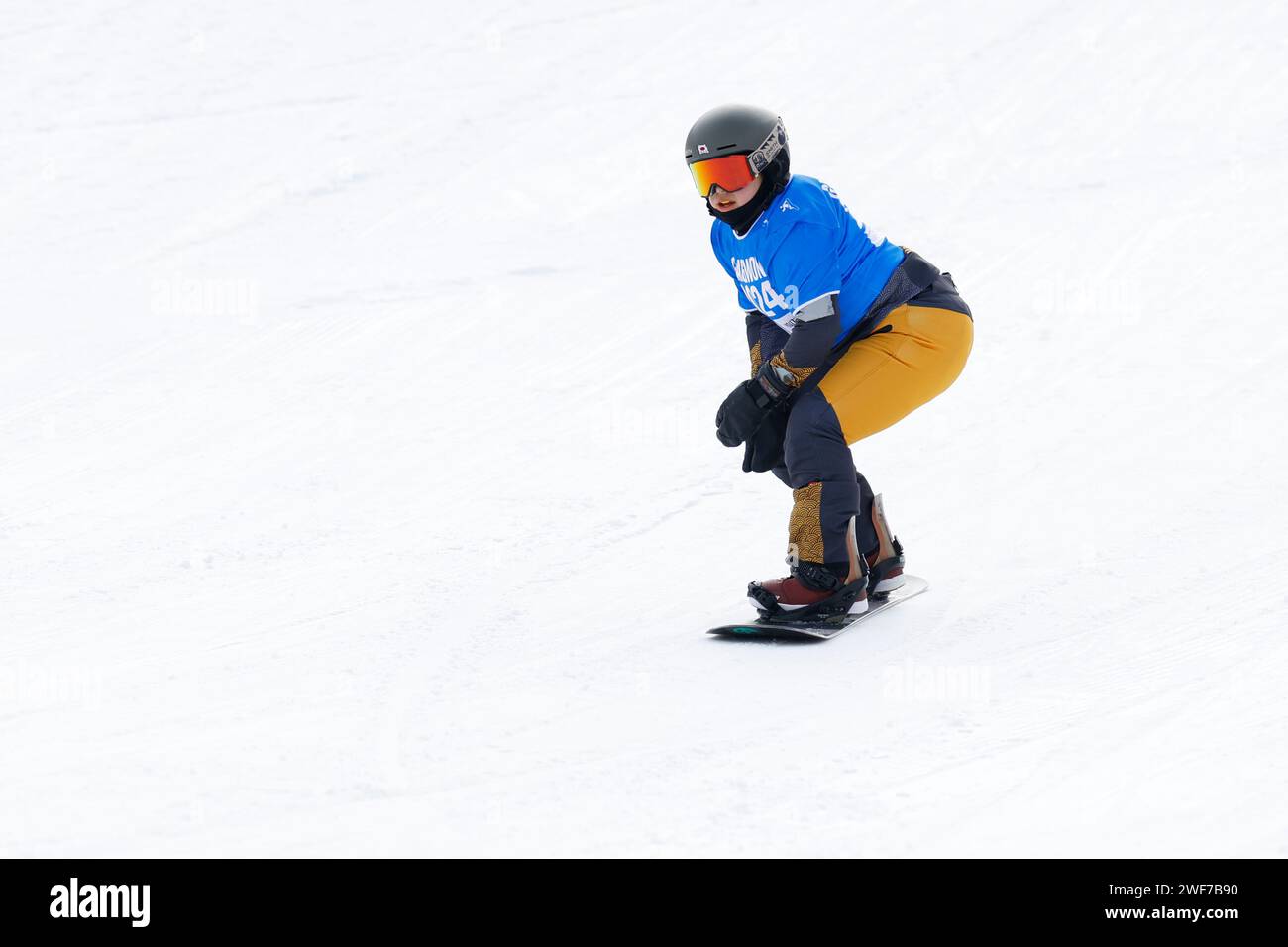 2024 olympic games Cut Out Stock Images & Pictures Alamy