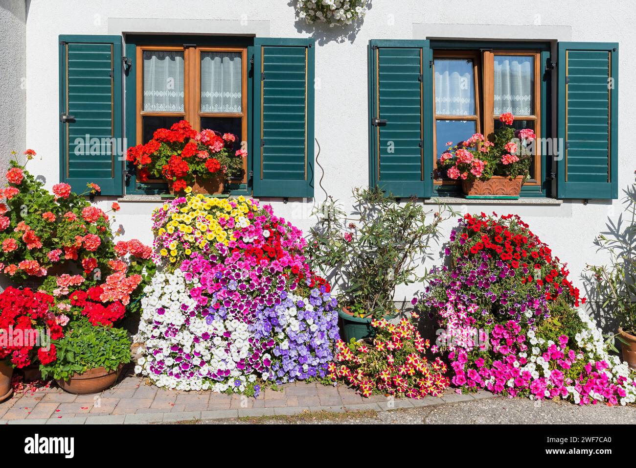 Blumen an einer Hausfassade, Fenster mit Fensterläden, Schladming, Steiermark, Österreich *** Flowers on a house facade, window with shutters, Schladm Stock Photo