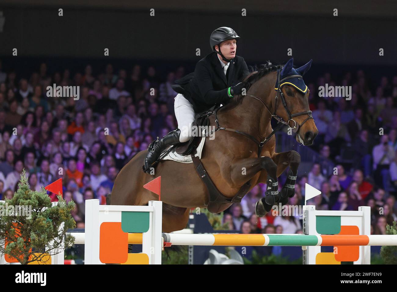 AMSTERDAM, NETHERLANDS - JANUARY 28 : Daniel Coyle (IRL) Legacy winner of Jumping Amsterdam 2024 Longines FEI Jumping World Cup Presented by Europarcs Stock Photo
