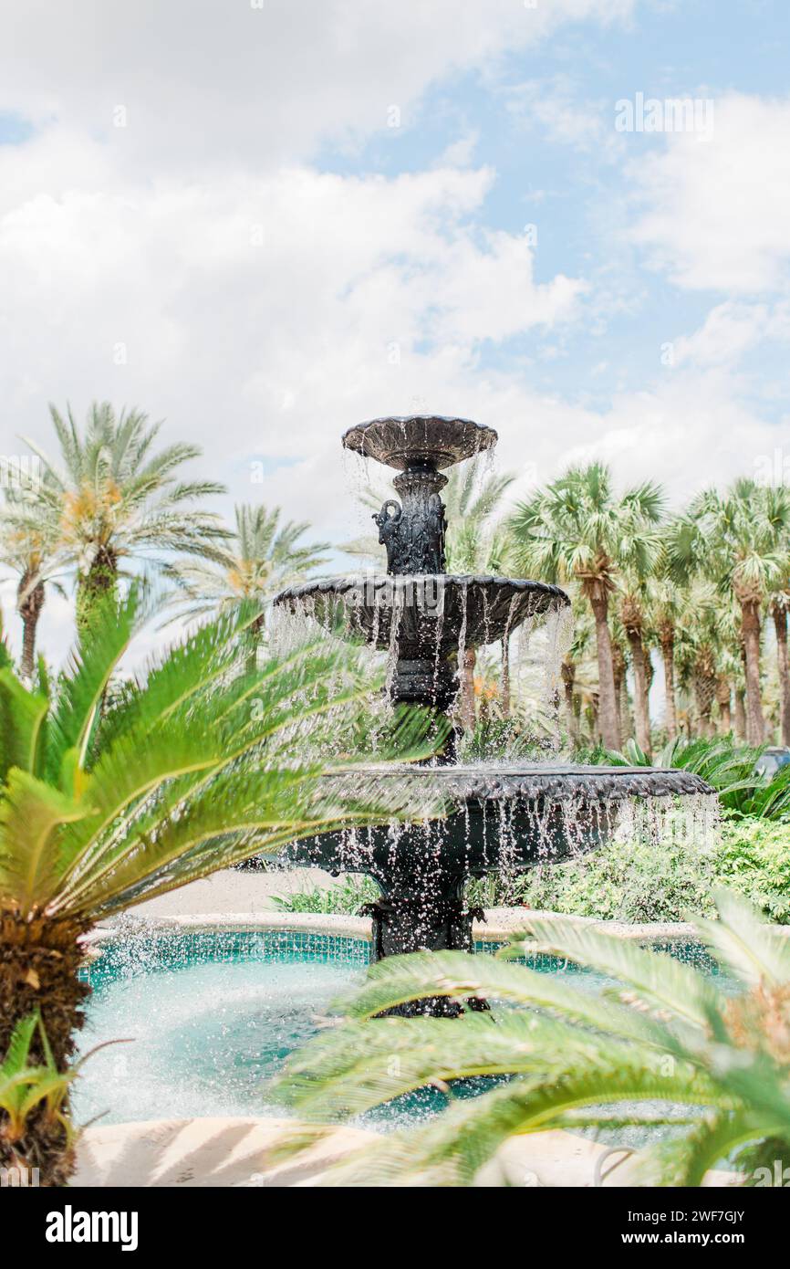 Black fountain surrounded by palm trees Stock Photo - Alamy