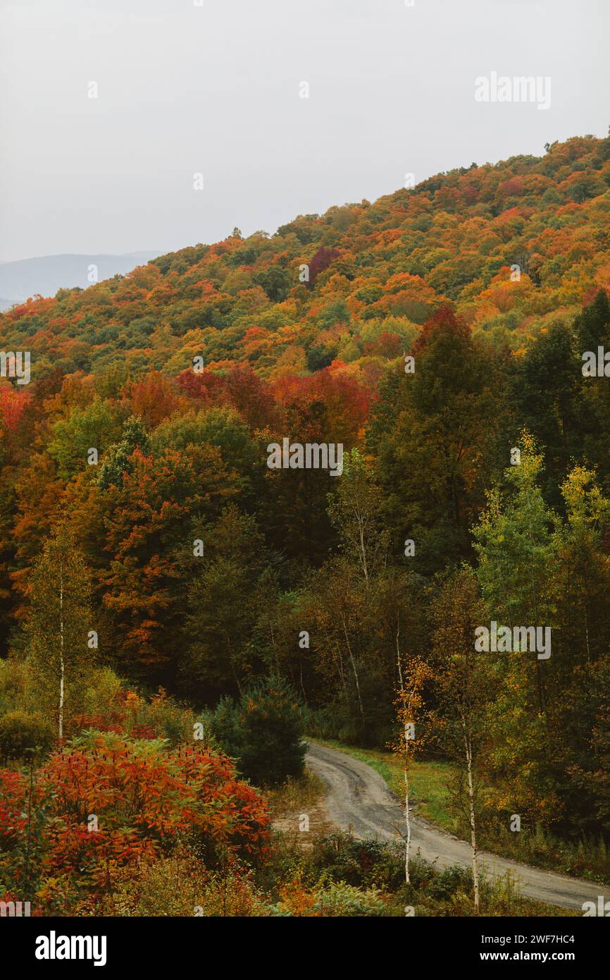 First colors of Fall in the mountains Stock Photo