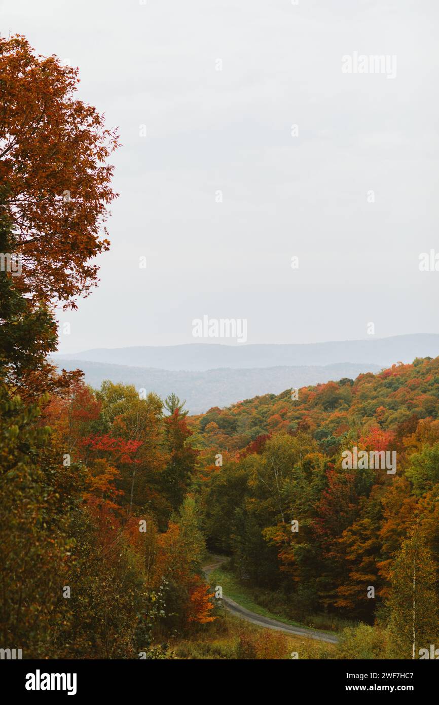 Leaf peeping in early Autumn Stock Photo