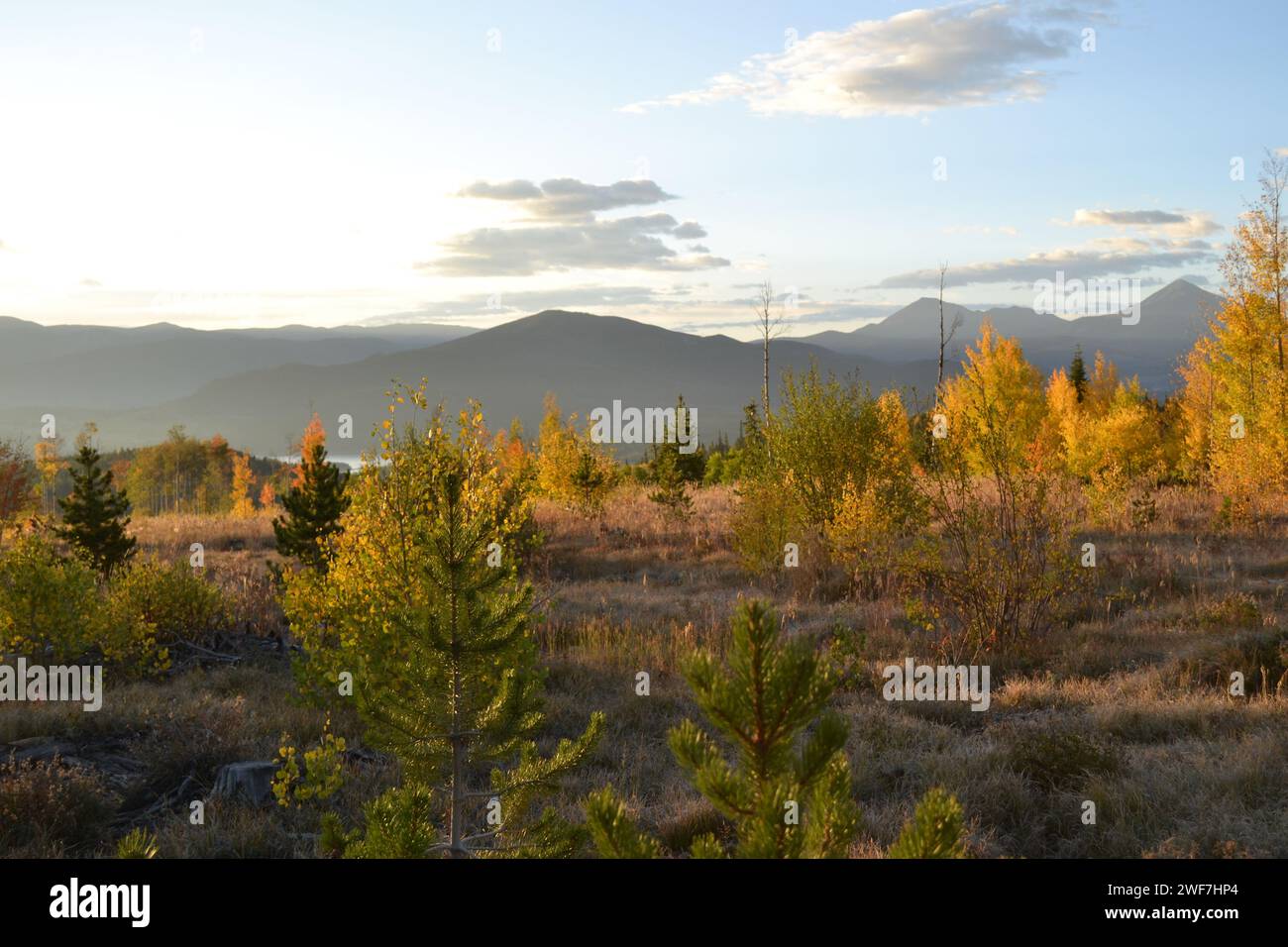 Foggy Mountain Range in Distance Beyond Yellow Fall Trees at Sunrise Stock Photo