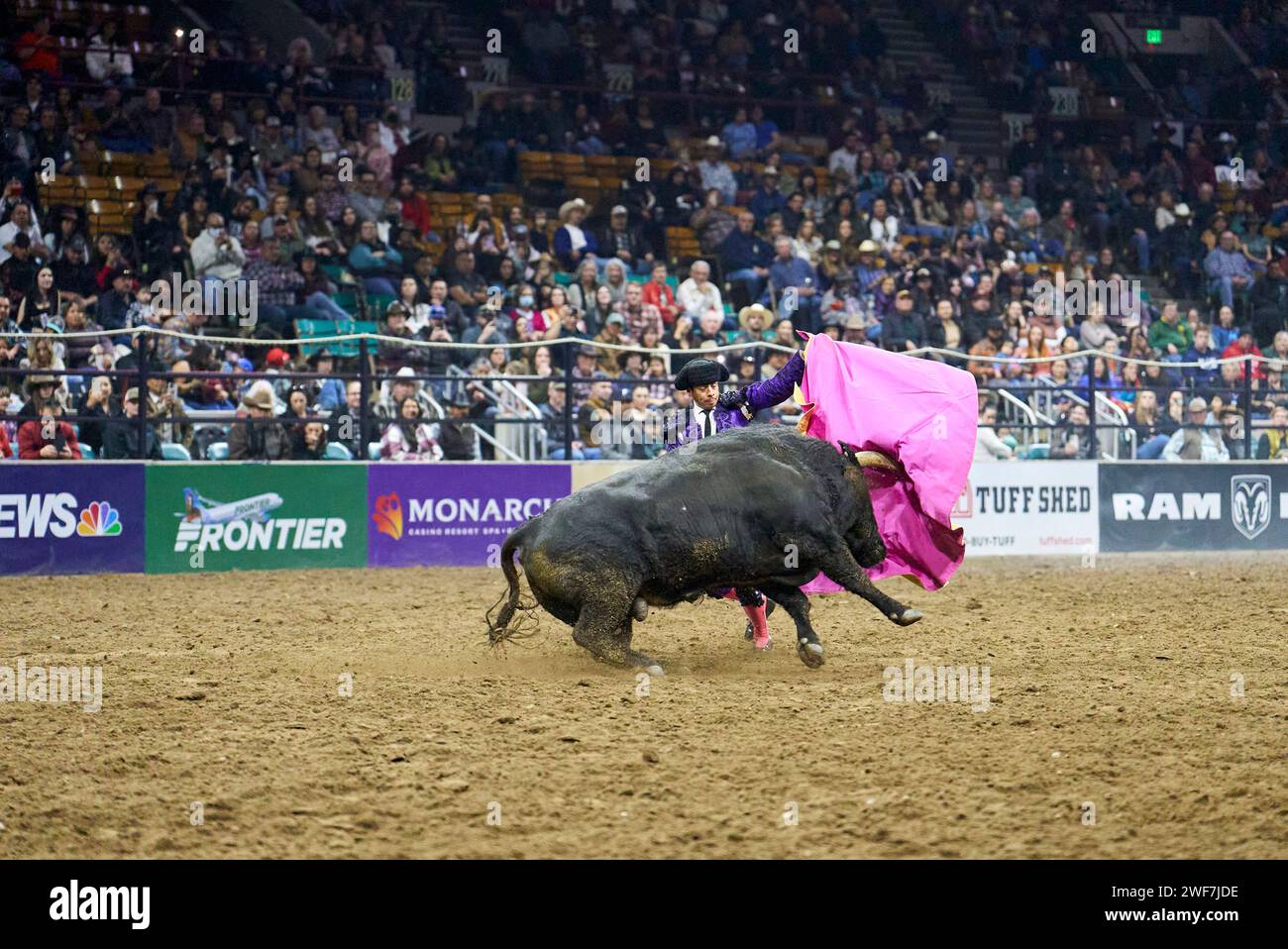 Matador with bull in bullfighting event at rodeo Stock Photo